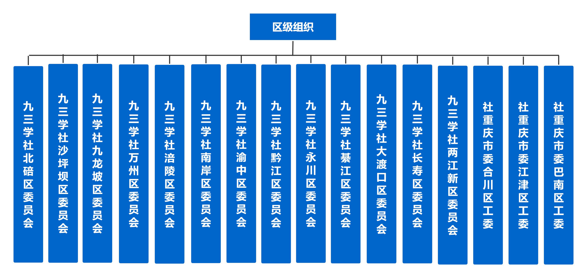 区级组织